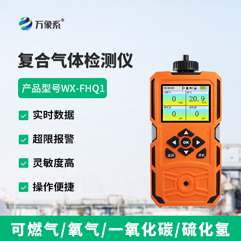 復(fù)合氣體檢測(cè)儀